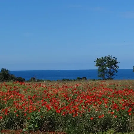 Holiday home Adriatic Houses Borse