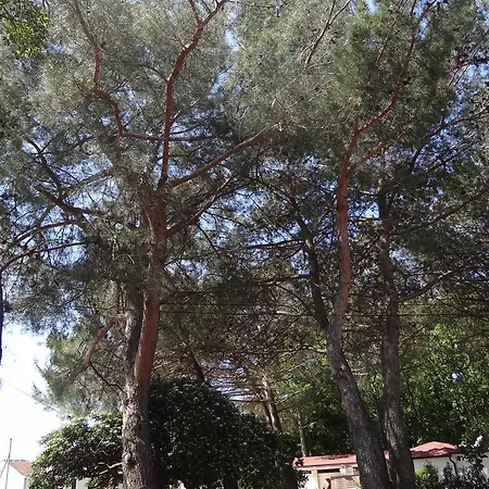 Holiday home Adriatic Houses Borse