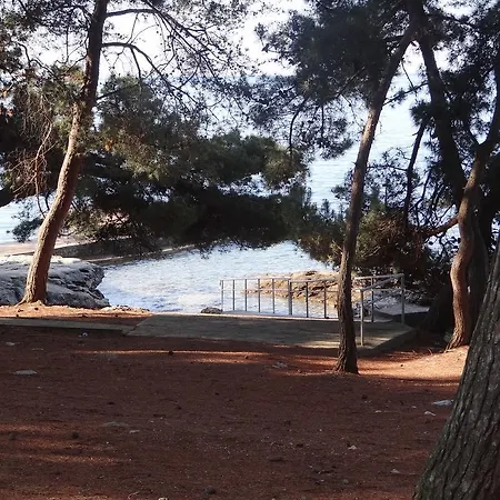 Adriatic Borse Bašanija