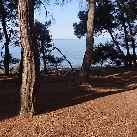 Holiday home Adriatic Houses Borse