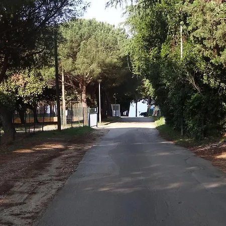 Adriatic Houses Borse
