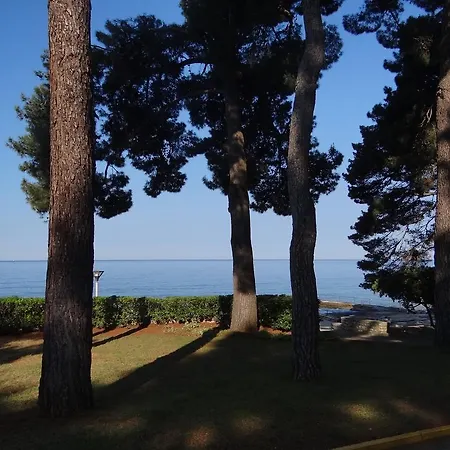 Hébergement de vacances Adriatic Borse *